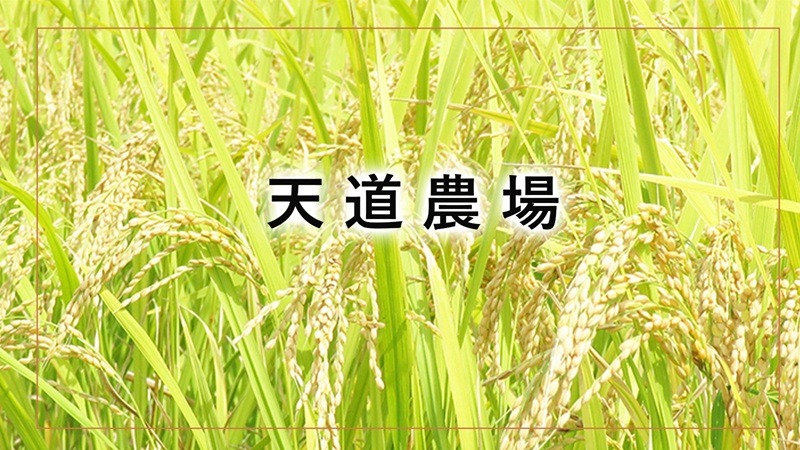 天道農場